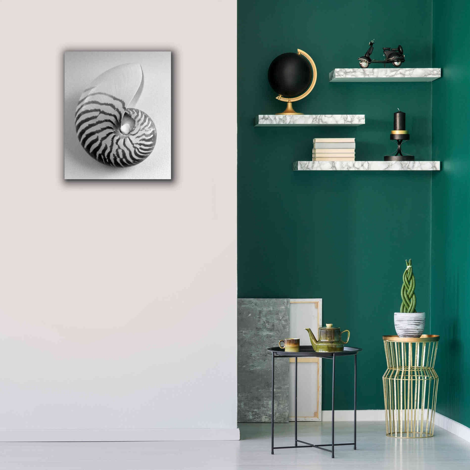 'Nautilus 2' by Debra Van Swearingen, Canvas Wall Art,20 x 24