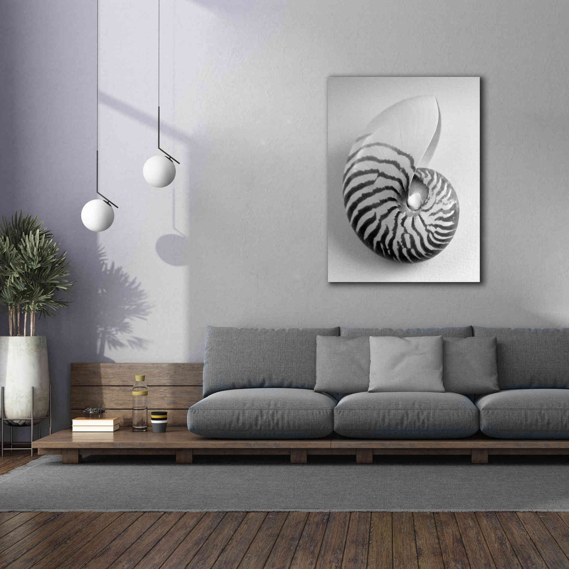 'Nautilus 2' by Debra Van Swearingen, Canvas Wall Art,40 x 54