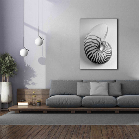 Image of 'Nautilus 2' by Debra Van Swearingen, Canvas Wall Art,40 x 54