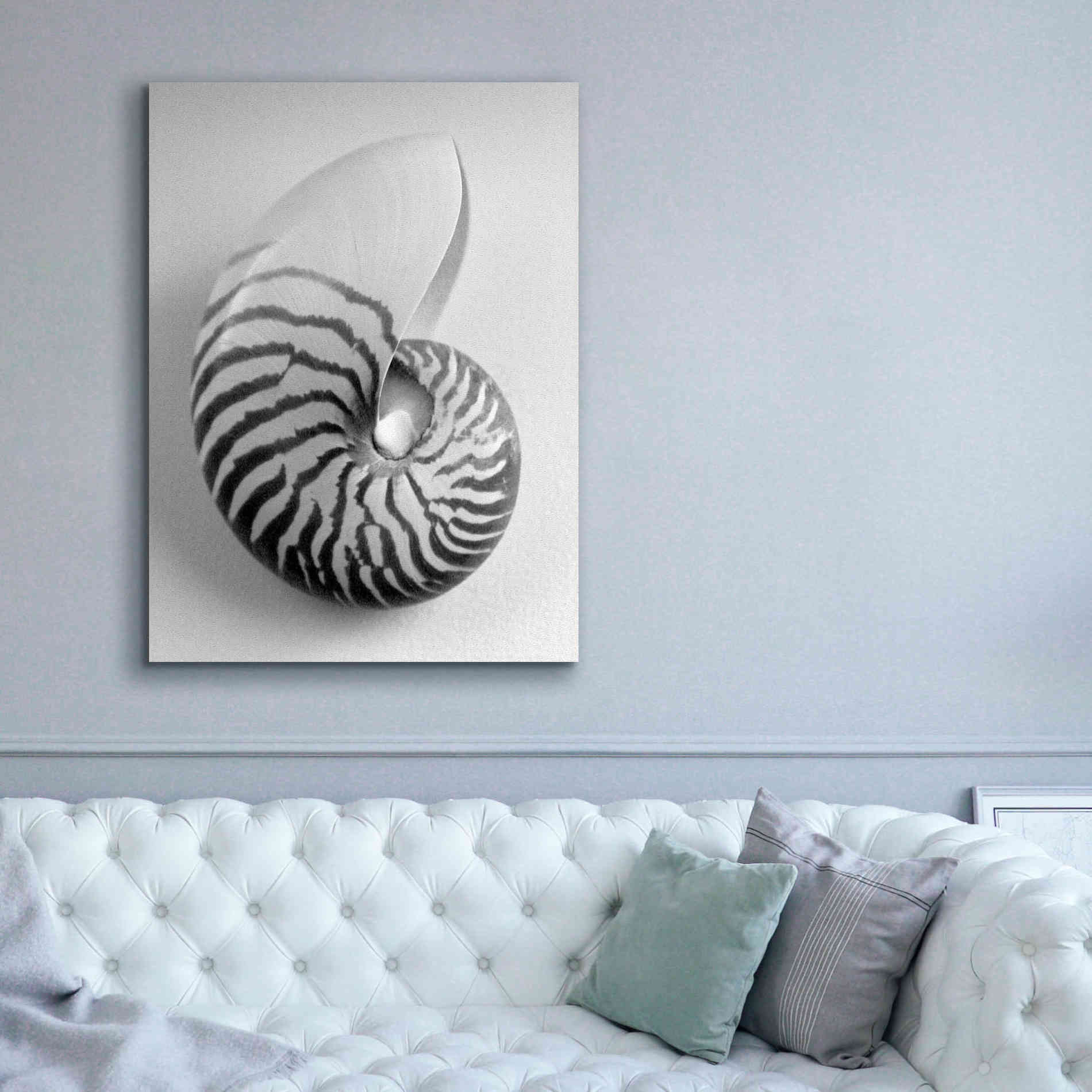 'Nautilus 2' by Debra Van Swearingen, Canvas Wall Art,40 x 54