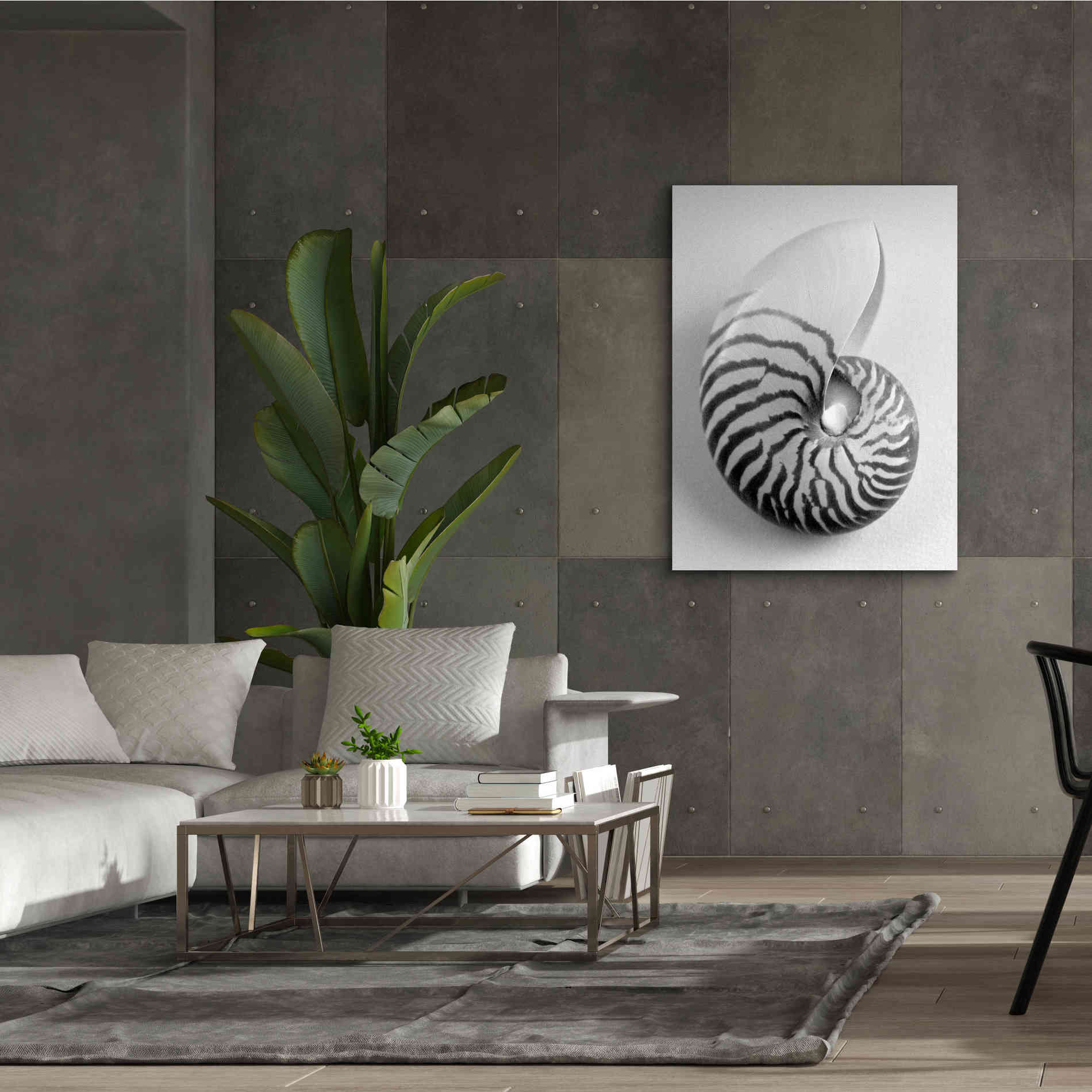 'Nautilus 2' by Debra Van Swearingen, Canvas Wall Art,40 x 54