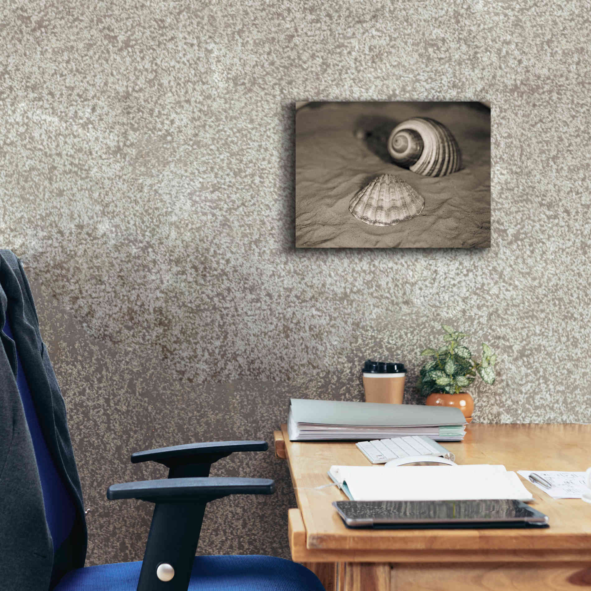 'Scallop Tonna' by Debra Van Swearingen, Canvas Wall Art,16 x 12