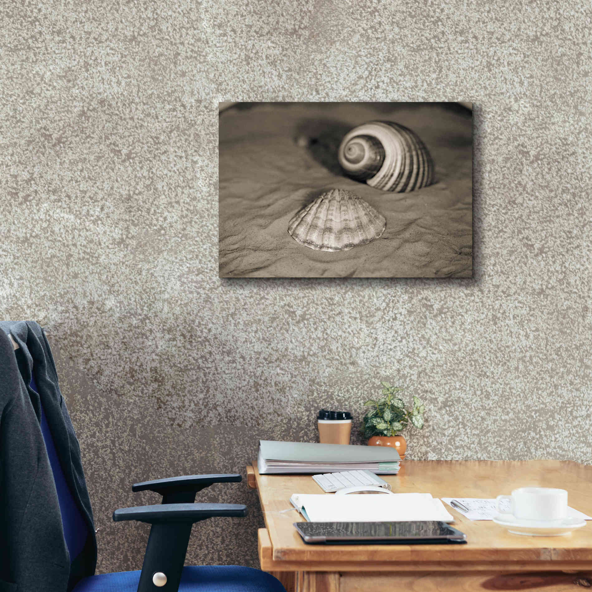 'Scallop Tonna' by Debra Van Swearingen, Canvas Wall Art,26 x 18