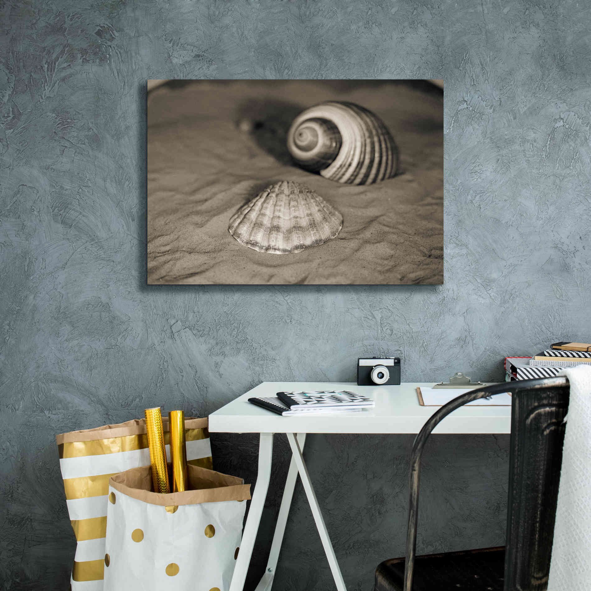 'Scallop Tonna' by Debra Van Swearingen, Canvas Wall Art,26 x 18