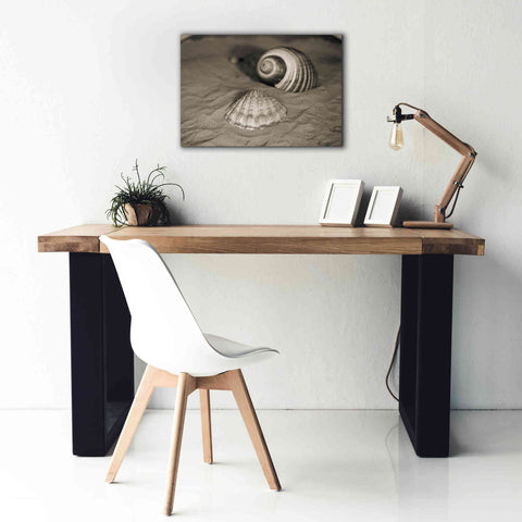 Image of 'Scallop Tonna' by Debra Van Swearingen, Canvas Wall Art,26 x 18