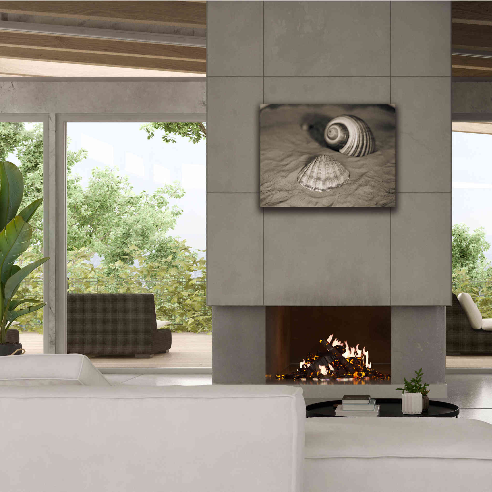 'Scallop Tonna' by Debra Van Swearingen, Canvas Wall Art,34 x 26