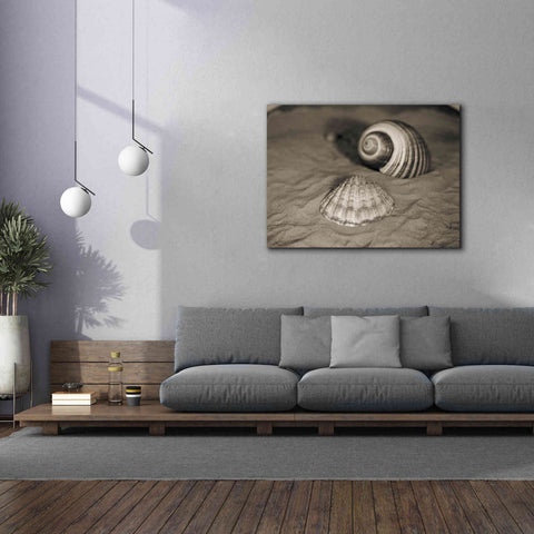 Image of 'Scallop Tonna' by Debra Van Swearingen, Canvas Wall Art,54 x 40