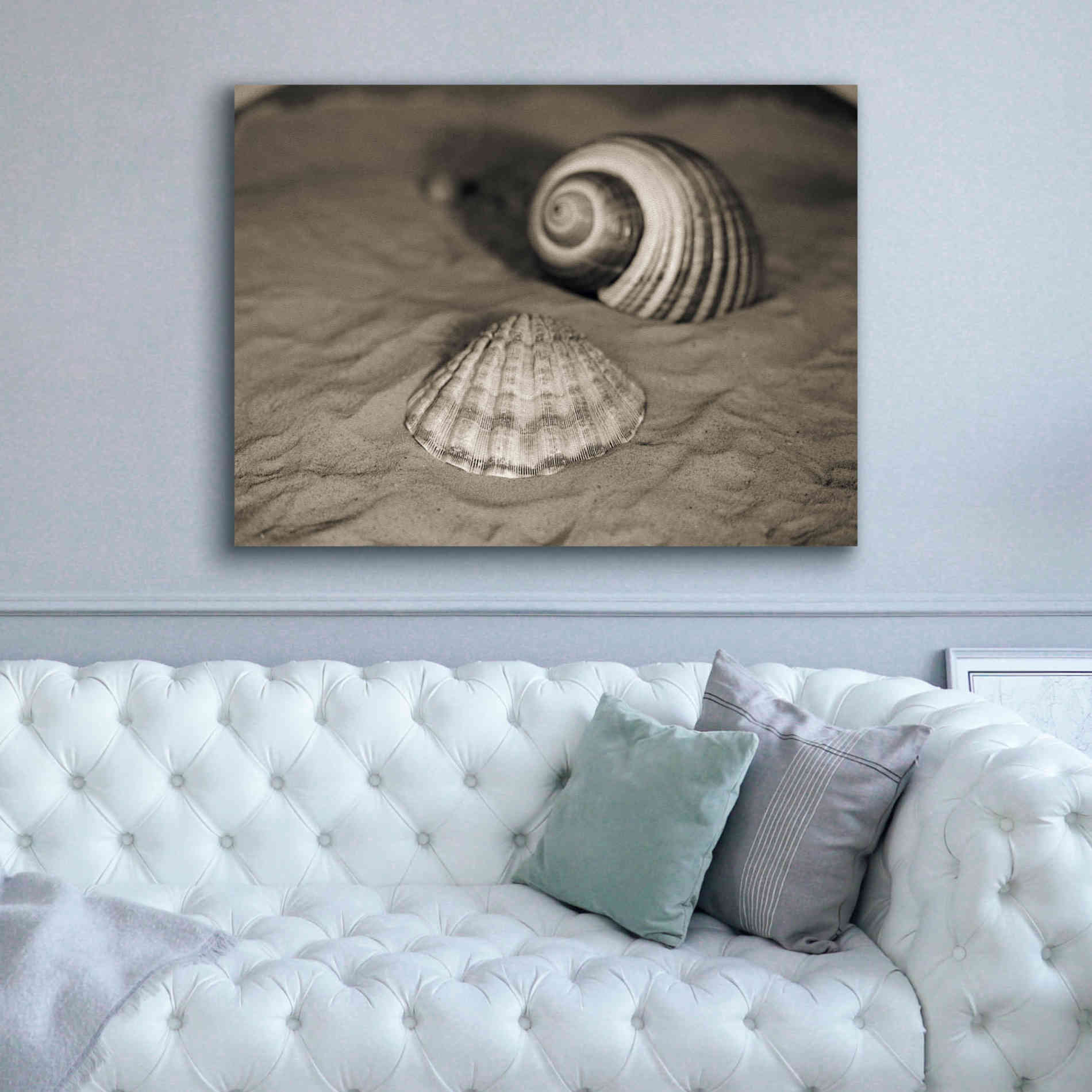 'Scallop Tonna' by Debra Van Swearingen, Canvas Wall Art,54 x 40