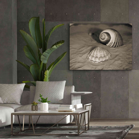 Image of 'Scallop Tonna' by Debra Van Swearingen, Canvas Wall Art,54 x 40