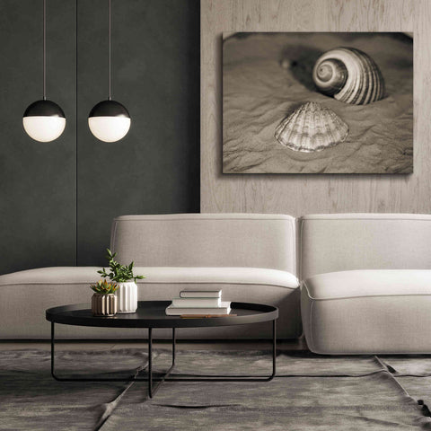 Image of 'Scallop Tonna' by Debra Van Swearingen, Canvas Wall Art,54 x 40