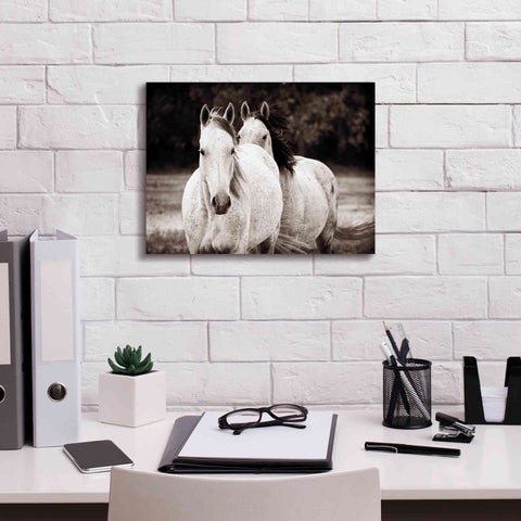 Image of 'Two Wild Horses Sepia' by Debra Van Swearingen, Canvas Wall Art,16 x 12