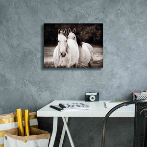 'Two Wild Horses Sepia' by Debra Van Swearingen, Canvas Wall Art,16 x 12