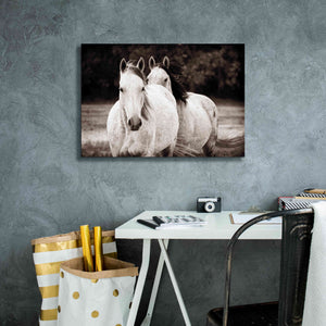 'Two Wild Horses Sepia' by Debra Van Swearingen, Canvas Wall Art,26 x 18