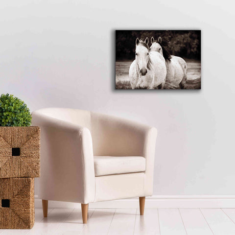 Image of 'Two Wild Horses Sepia' by Debra Van Swearingen, Canvas Wall Art,26 x 18