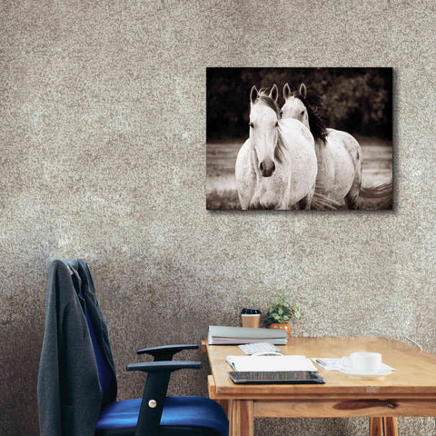 Image of 'Two Wild Horses Sepia' by Debra Van Swearingen, Canvas Wall Art,34 x 26