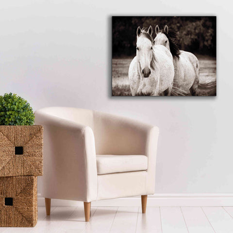 Image of 'Two Wild Horses Sepia' by Debra Van Swearingen, Canvas Wall Art,34 x 26