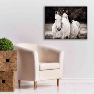 'Two Wild Horses Sepia' by Debra Van Swearingen, Canvas Wall Art,34 x 26