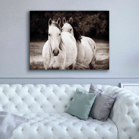 Image of 'Two Wild Horses Sepia' by Debra Van Swearingen, Canvas Wall Art,54 x 40
