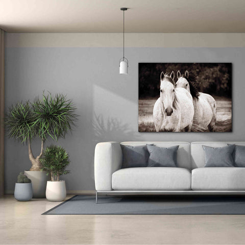 Image of 'Two Wild Horses Sepia' by Debra Van Swearingen, Canvas Wall Art,54 x 40