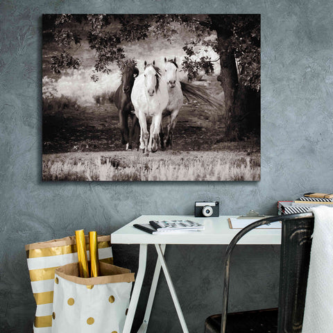 Image of 'Three Wild Horses Sepia' by Debra Van Swearingen, Canvas Wall Art,34 x 26