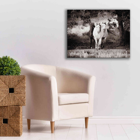 Image of 'Three Wild Horses Sepia' by Debra Van Swearingen, Canvas Wall Art,34 x 26
