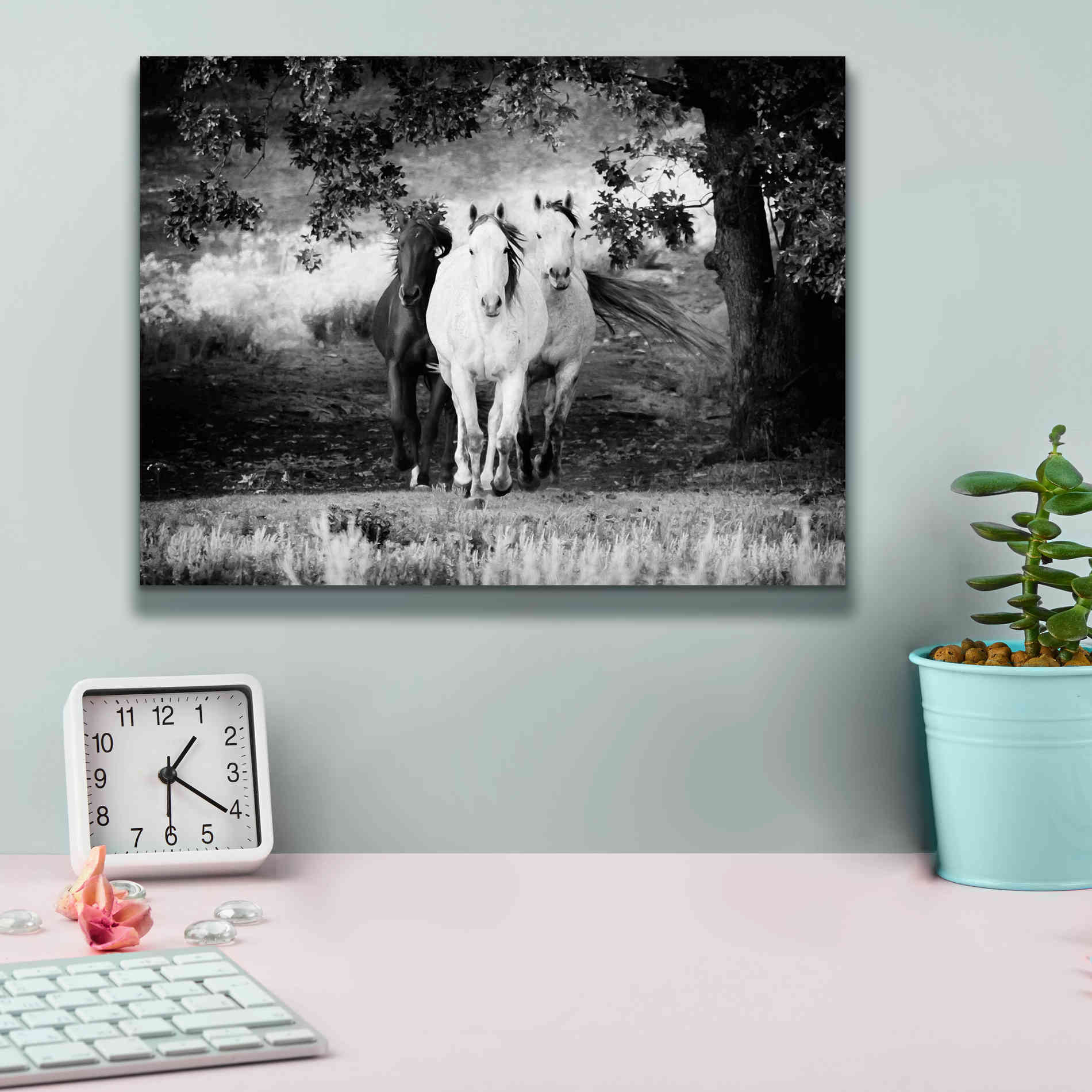 'Three Wild Horses BW' by Debra Van Swearingen, Canvas Wall Art,16 x 12
