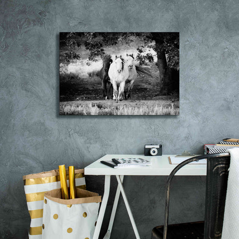 Image of 'Three Wild Horses BW' by Debra Van Swearingen, Canvas Wall Art,26 x 18