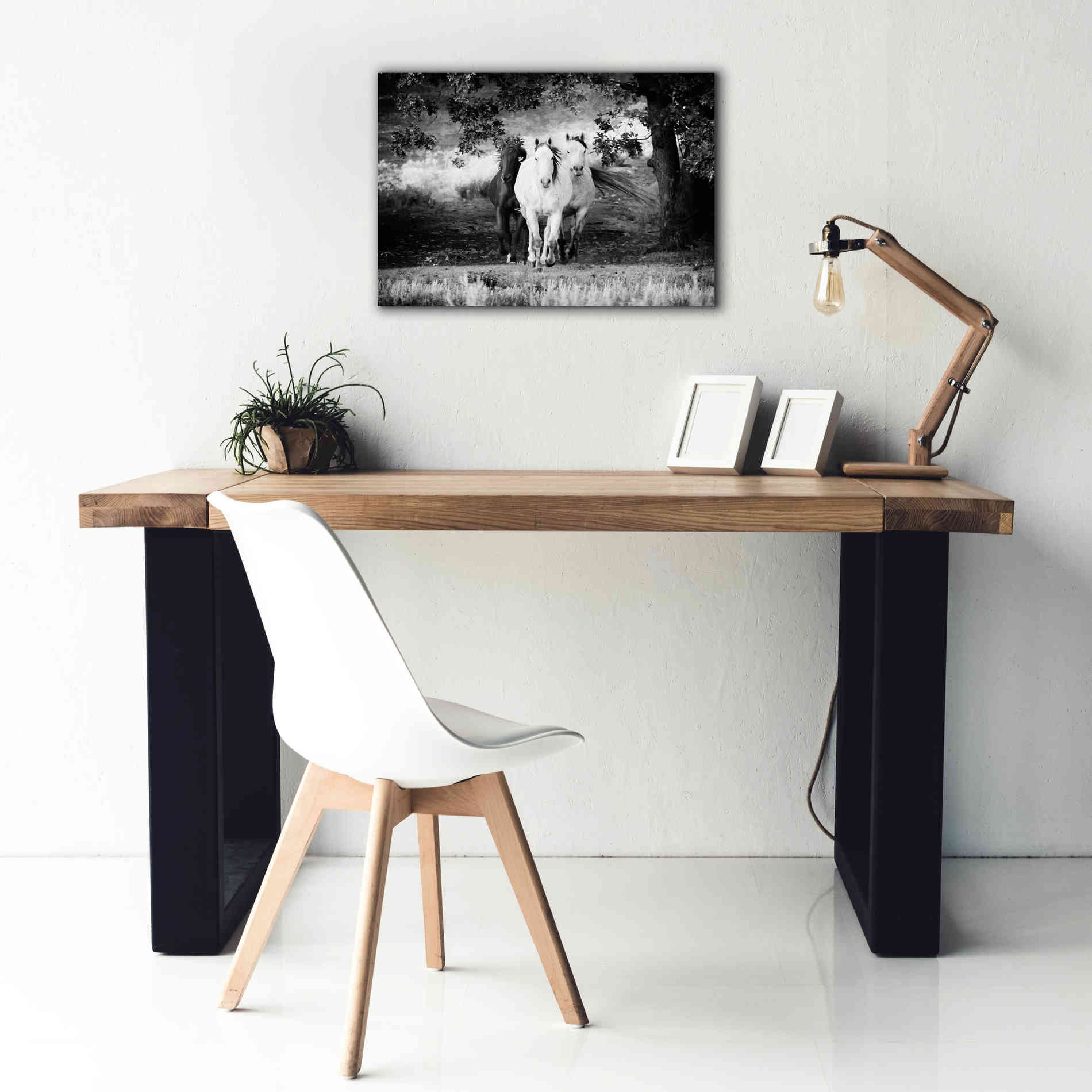 'Three Wild Horses BW' by Debra Van Swearingen, Canvas Wall Art,26 x 18