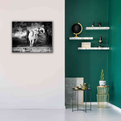 Image of 'Three Wild Horses BW' by Debra Van Swearingen, Canvas Wall Art,34 x 26