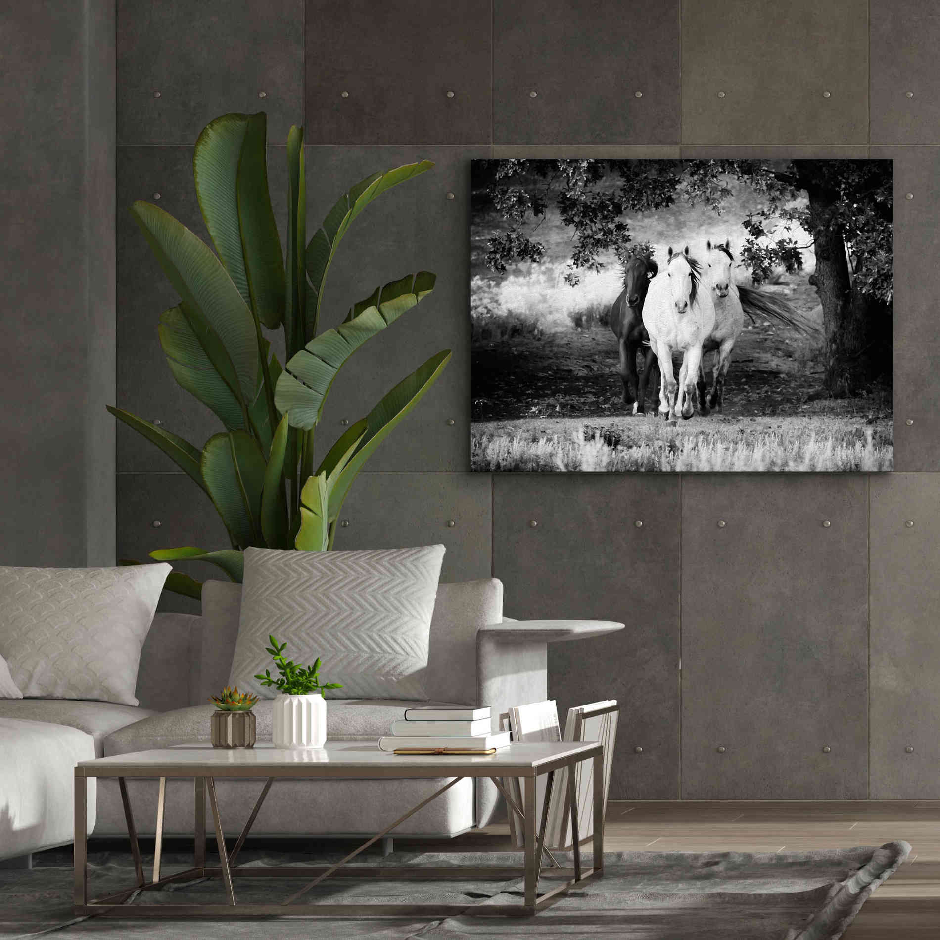'Three Wild Horses BW' by Debra Van Swearingen, Canvas Wall Art,54 x 40