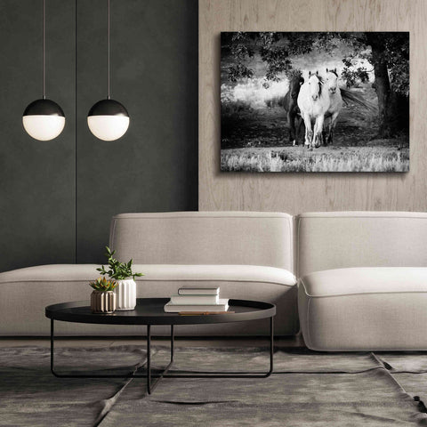 Image of 'Three Wild Horses BW' by Debra Van Swearingen, Canvas Wall Art,54 x 40