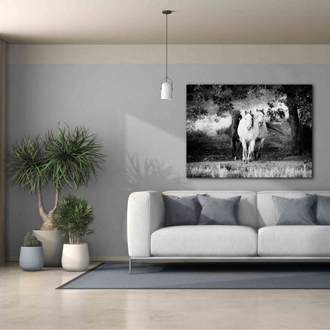 Image of 'Three Wild Horses BW' by Debra Van Swearingen, Canvas Wall Art,54 x 40