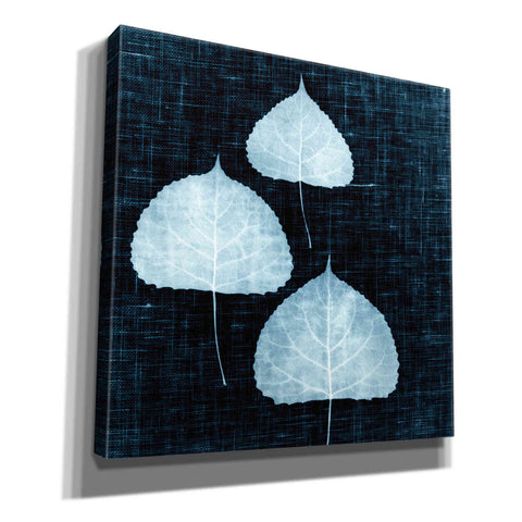 Image of 'Leaves on Linen III' by Debra Van Swearingen, Canvas Wall Art,12x12x1.1x0,18x18x1.1x0,26x26x1.74x0,37x37x1.74x0