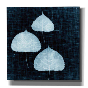 'Leaves on Linen III' by Debra Van Swearingen, Canvas Wall Art,12x12x1.1x0,18x18x1.1x0,26x26x1.74x0,37x37x1.74x0