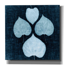 'Leaves on Linen IV' by Debra Van Swearingen, Canvas Wall Art,12x12x1.1x0,18x18x1.1x0,26x26x1.74x0,37x37x1.74x0