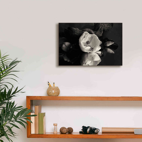 Image of 'Magnolia and Driftwood I' by Debra Van Swearingen, Canvas Wall Art,18 x 12