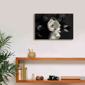 'Magnolia and Driftwood I' by Debra Van Swearingen, Canvas Wall Art,18 x 12