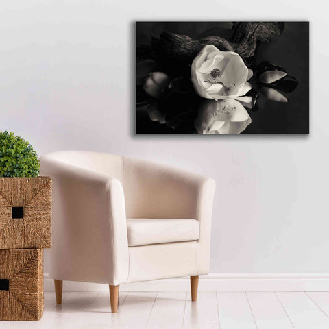 Image of 'Magnolia and Driftwood I' by Debra Van Swearingen, Canvas Wall Art,40 x 26