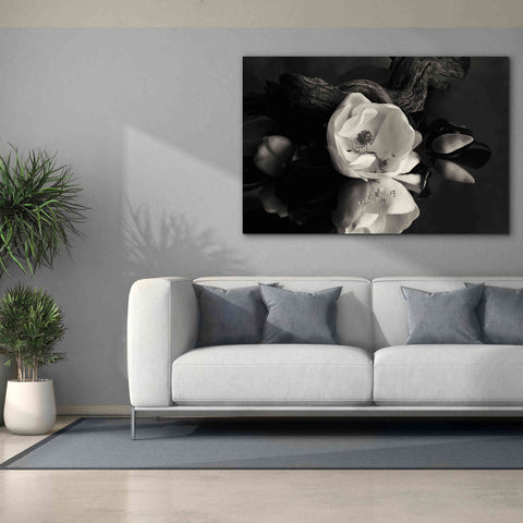 Image of 'Magnolia and Driftwood I' by Debra Van Swearingen, Canvas Wall Art,60 x 40