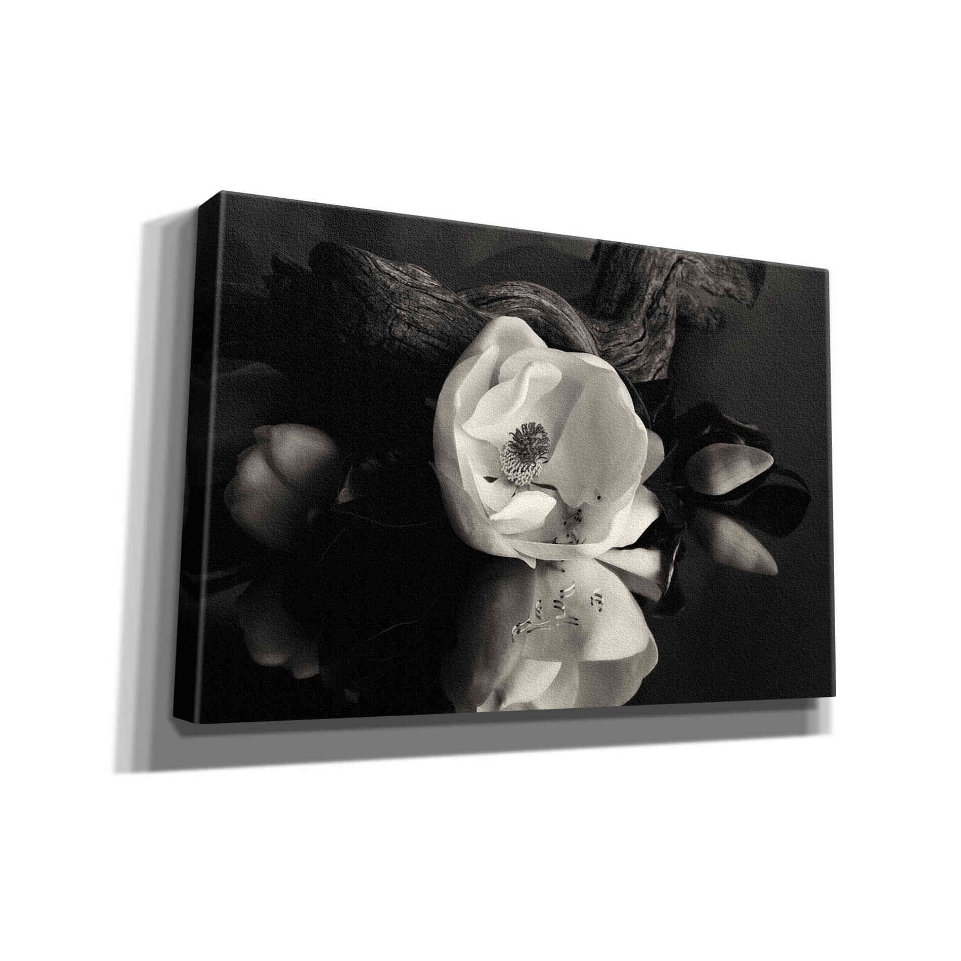 'Magnolia and Driftwood I' by Debra Van Swearingen, Canvas Wall Art,18x12x1.1x0,26x18x1.1x0,40x26x1.74x0,60x40x1.74x0