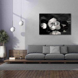 'Magnolia in Bloom' by Debra Van Swearingen, Canvas Wall Art,60 x 40