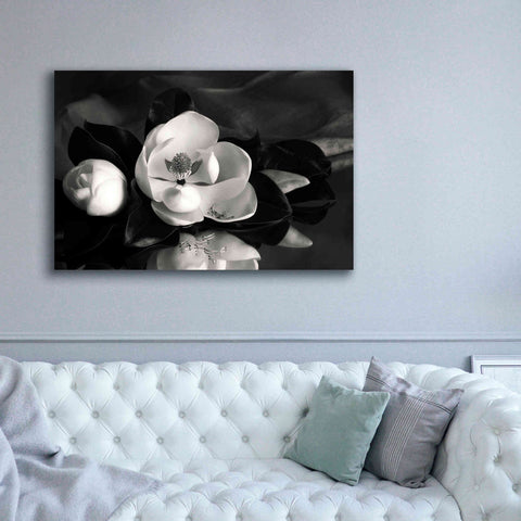Image of 'Magnolia in Bloom' by Debra Van Swearingen, Canvas Wall Art,60 x 40