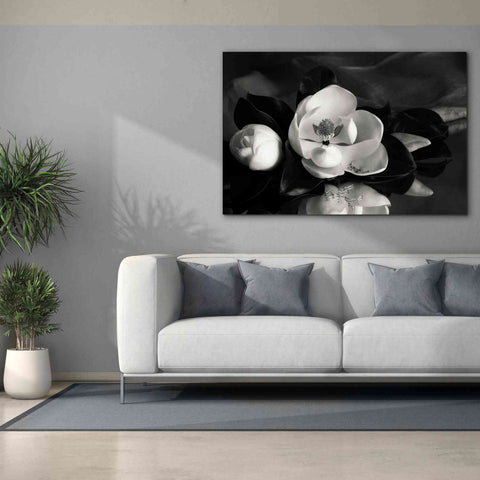 Image of 'Magnolia in Bloom' by Debra Van Swearingen, Canvas Wall Art,60 x 40