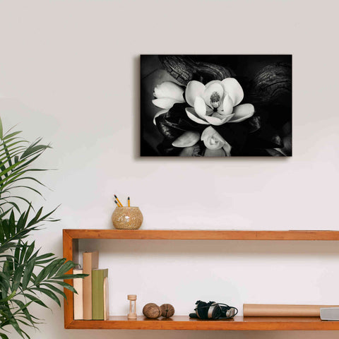 Image of 'Magnolia and Driftwood II' by Debra Van Swearingen, Canvas Wall Art,18 x 12