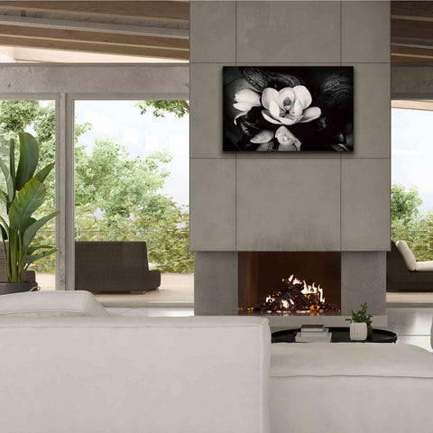 Image of 'Magnolia and Driftwood II' by Debra Van Swearingen, Canvas Wall Art,40 x 26
