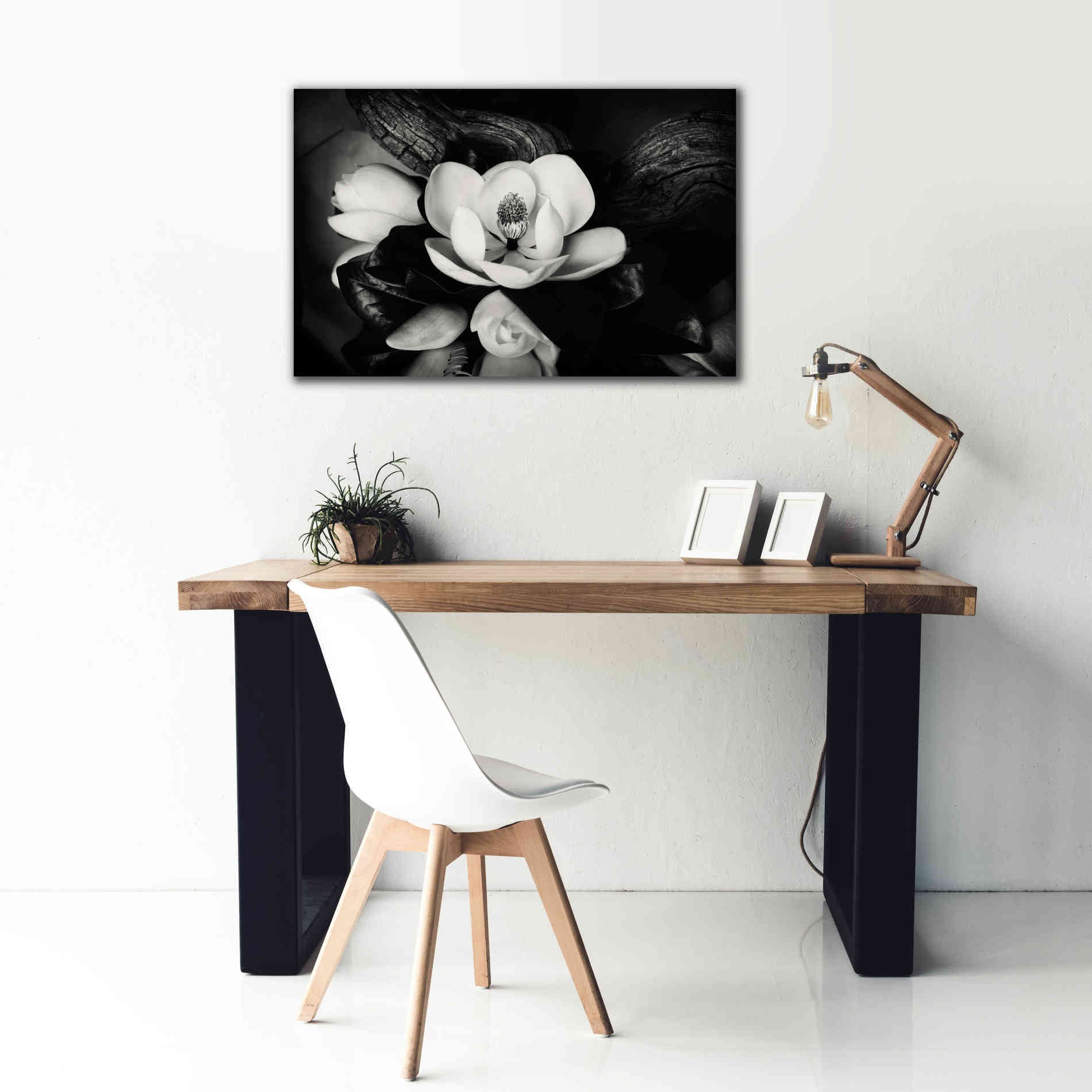 'Magnolia and Driftwood II' by Debra Van Swearingen, Canvas Wall Art,40 x 26