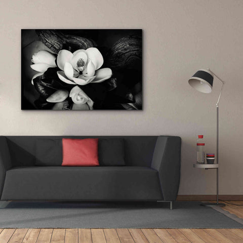 Image of 'Magnolia and Driftwood II' by Debra Van Swearingen, Canvas Wall Art,60 x 40