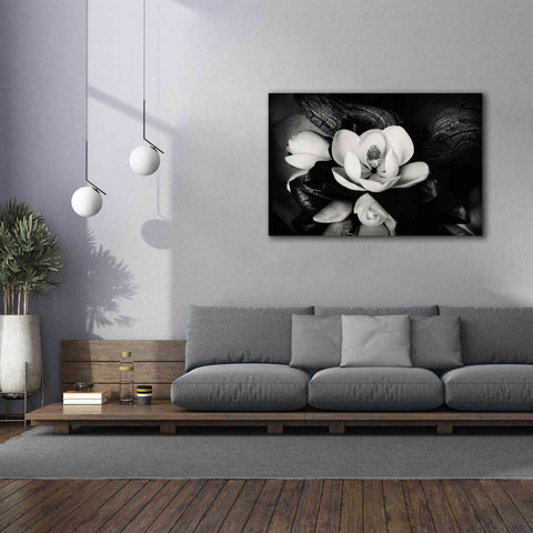 Image of 'Magnolia and Driftwood II' by Debra Van Swearingen, Canvas Wall Art,60 x 40