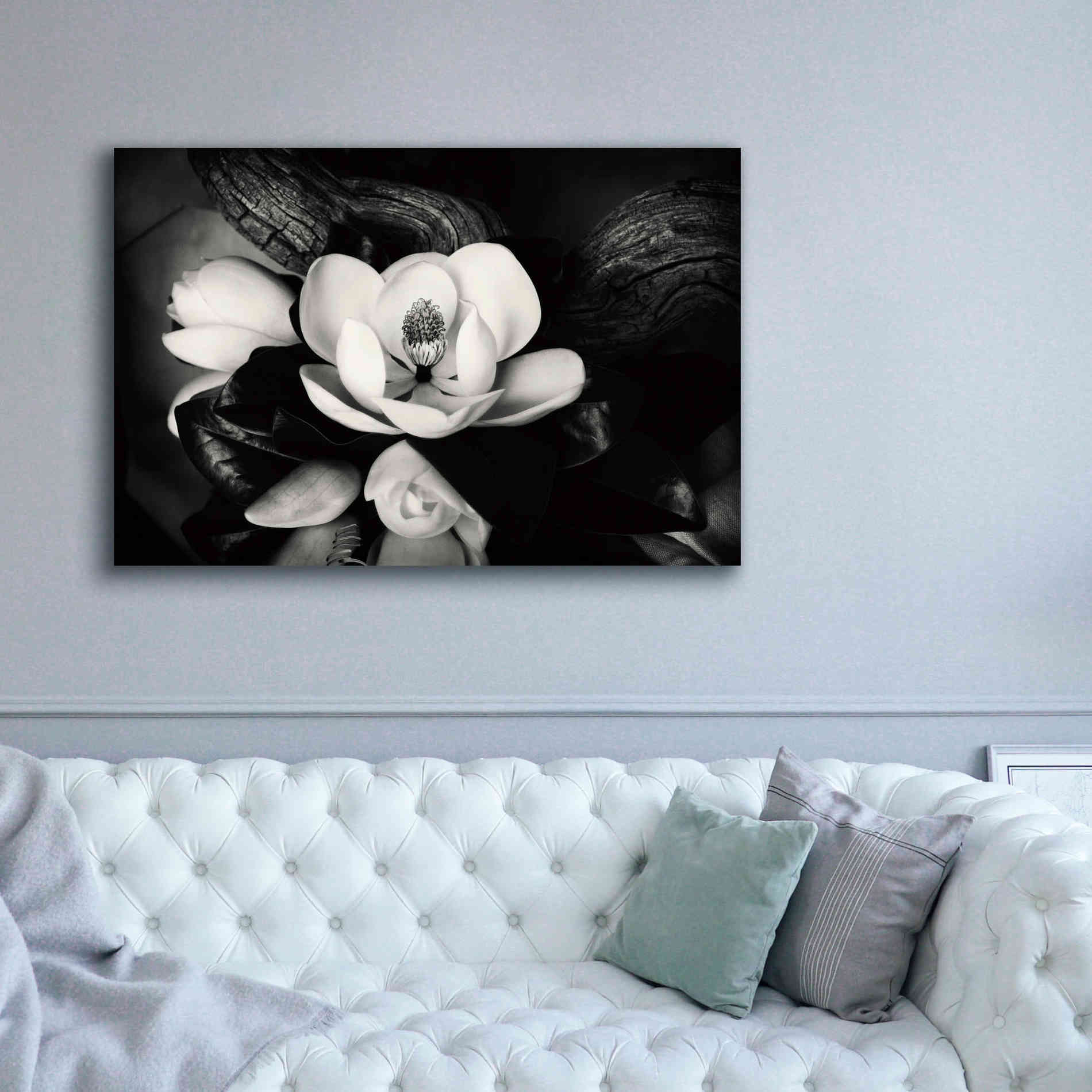 'Magnolia and Driftwood II' by Debra Van Swearingen, Canvas Wall Art,60 x 40