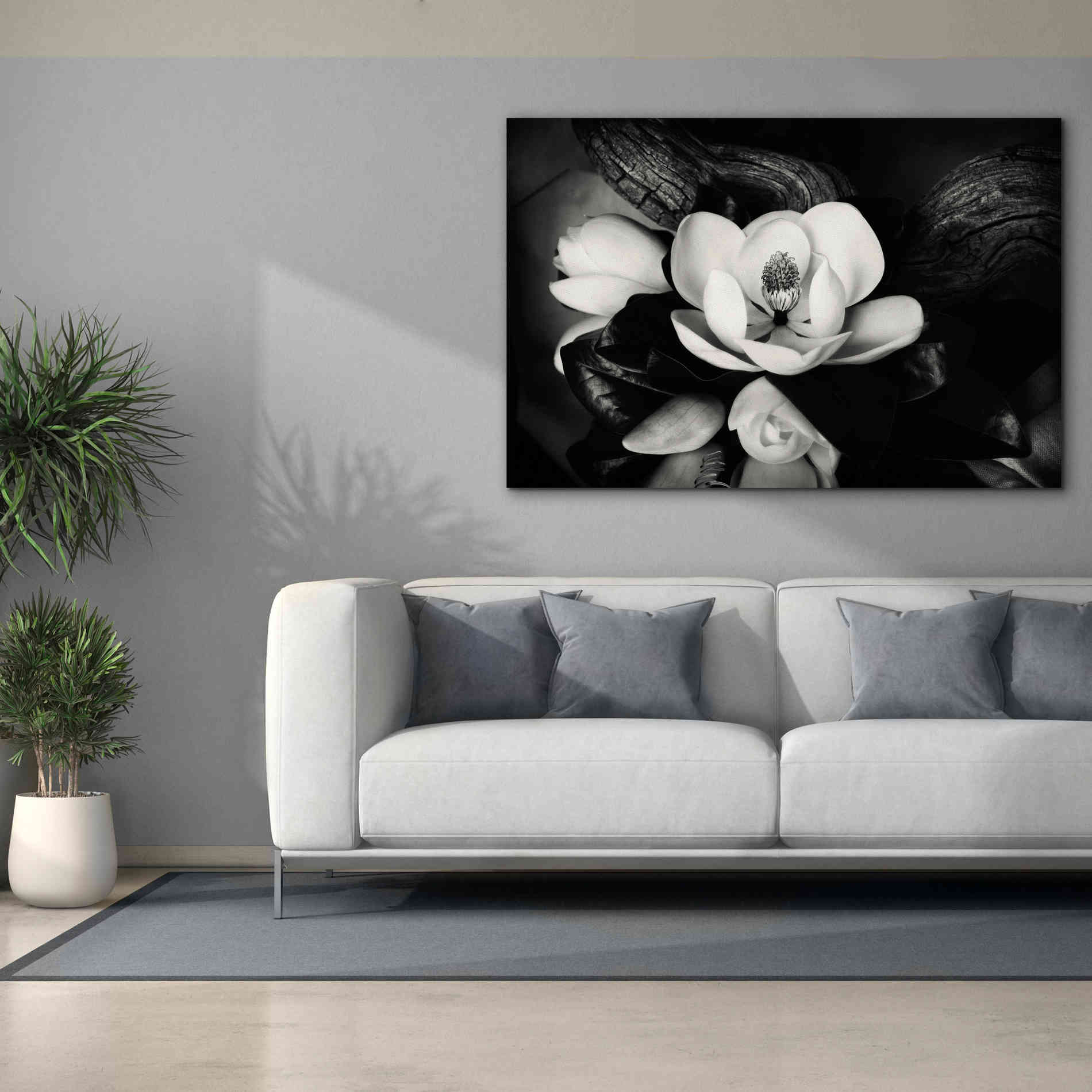 'Magnolia and Driftwood II' by Debra Van Swearingen, Canvas Wall Art,60 x 40